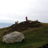  Ireland